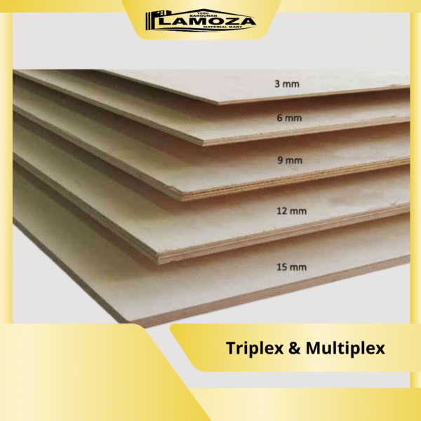 alba triplex dan multiplex