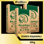 semen rajawali 40 kg