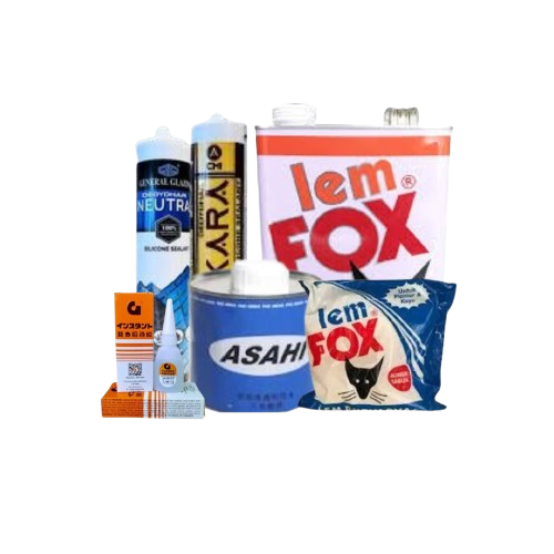 web lem 1
